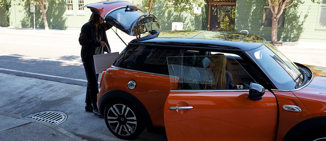Проверка Mini перед окончанием гарантии